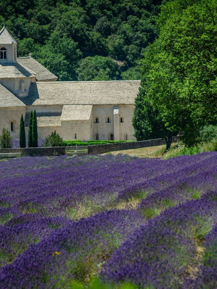 Mariage — Provence