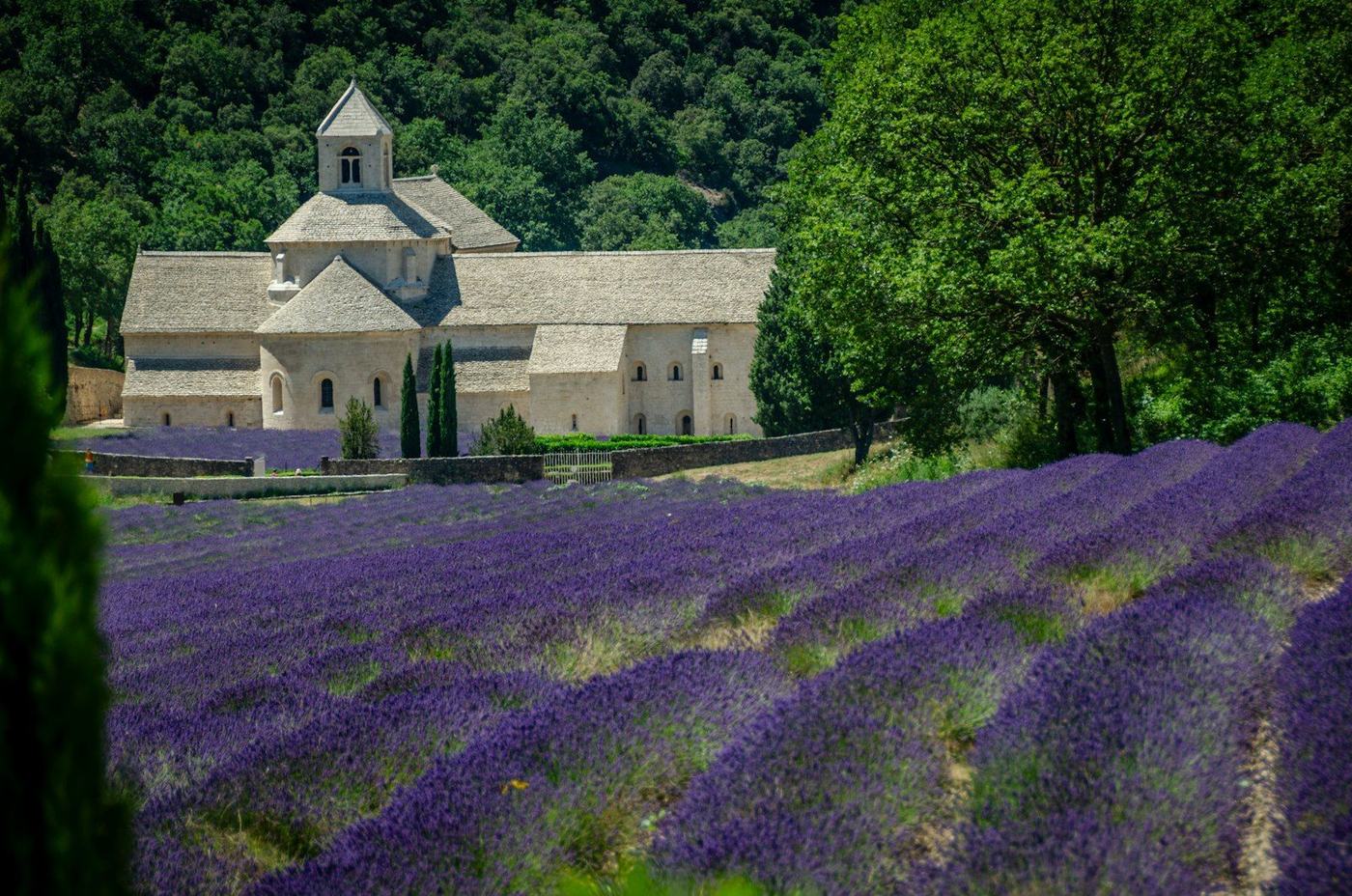 Mariage dans un domaine viticole en Provence